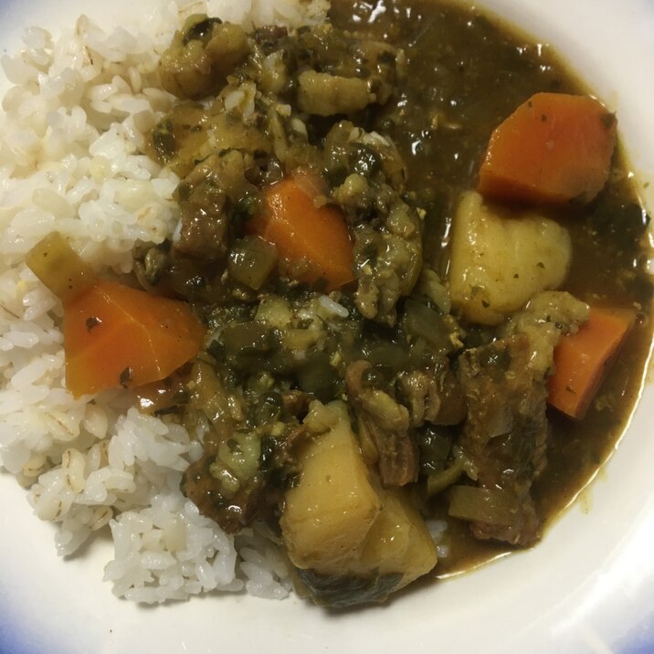 ほうれん草たっぷり 牛すじカレー